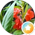 Reseña de Lau O.